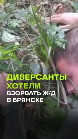 «А если бы погибли дети?»: росгвардейцы предотвратили теракт на железной дороге в Брянской области