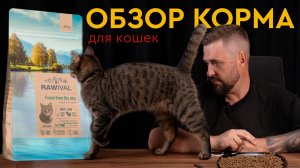 Сухой корм RAWIVAL для кошек — обзор состава, плюсов и нюансов