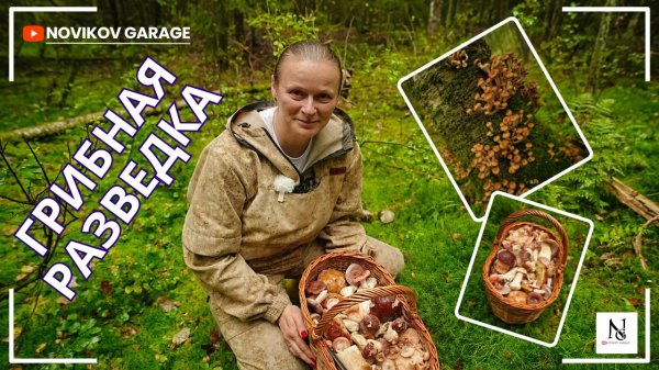 Грибная разведка 04 сентября 2025. Всеволожский район.