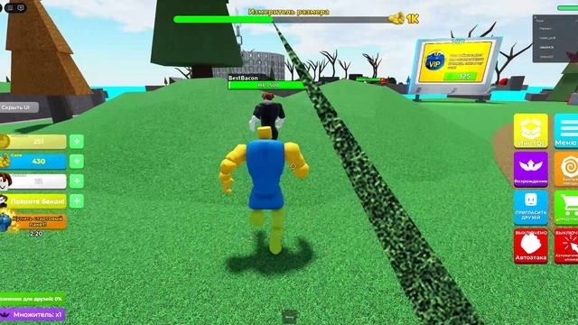 симулятр кочка