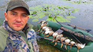 Открытие Охоты на Утку Осень 2025г. Шикарные Налёты и Отличная Стрельба.