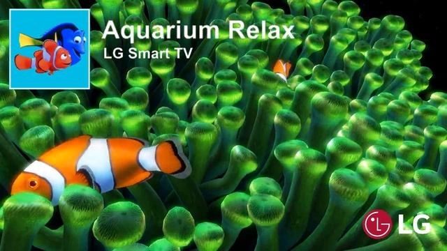 Aquarium Relax смотреть онлайн