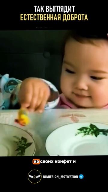 Так выглядит естественная доброта #мудрость смотреть онлайн