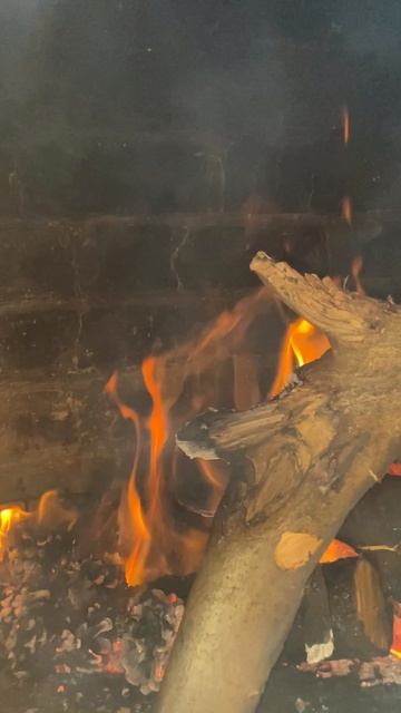 ПЛАМЯ костра .