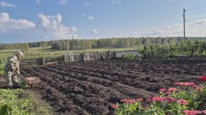 дядюшкины просторы Ездила на отметку