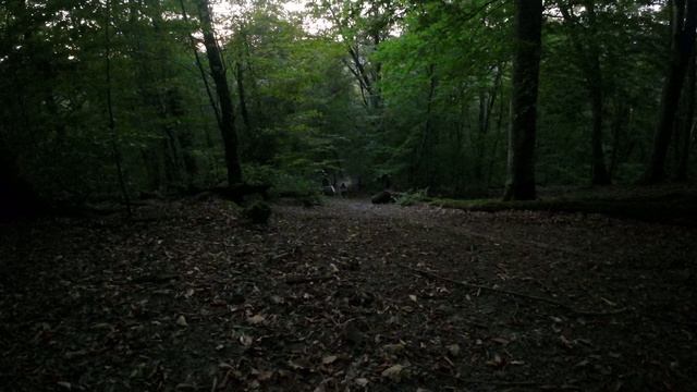DJI_0084 смотреть онлайн