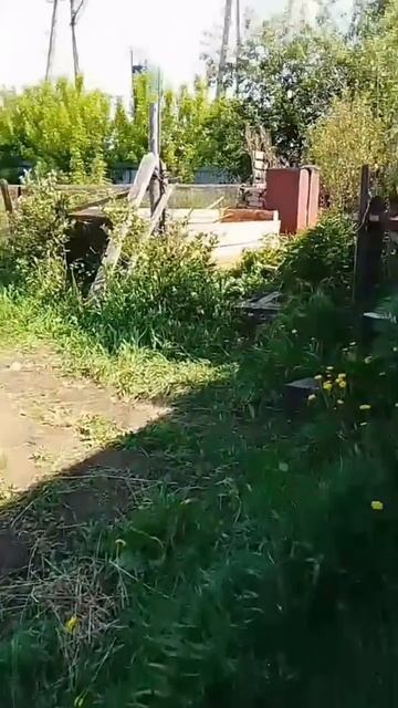 мама папа 202 смотреть онлайн