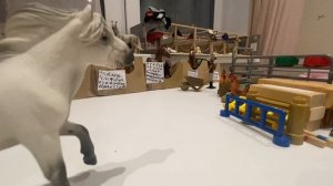 Новости + секретный подарок 🤫