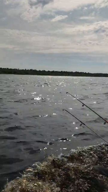 Мотор Микатсу 5л 4 т. Полный ход. Скорость около 10 км⧸ч смотреть онлайн