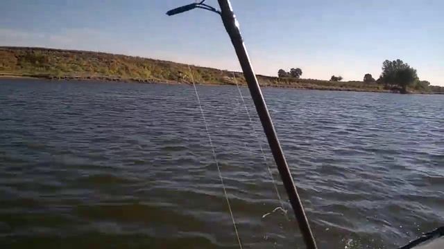 Mikatsu 9.9(18)+ Cayman 330 vs Honda 15 WinBoat 330 смотреть онлайн