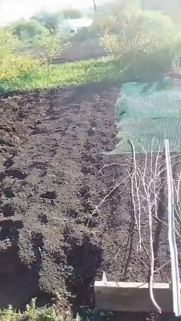 16 мая 2025 г. смотреть онлайн