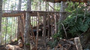 В изоляции 9 сезон 6 серия «Хорёк» (документальный сериал, 2022)