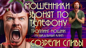 Созрели сливы. Мошенники звонят по телефону. Троллинг мошни + новая песня.