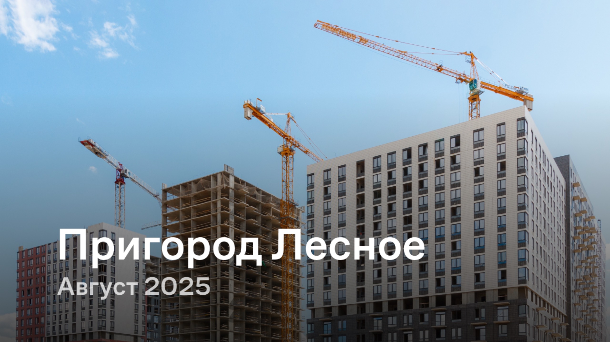 «Пригород Лесное» / август 2025 смотреть онлайн