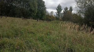 Владычня.mp4