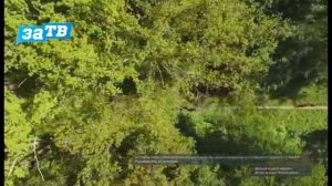 Чистый Байкал