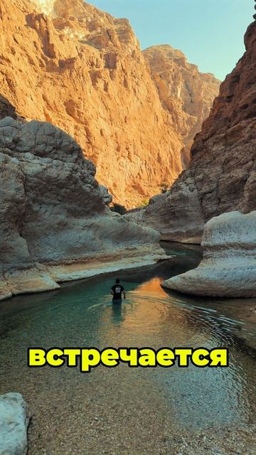 ГидОман Туры в Оман