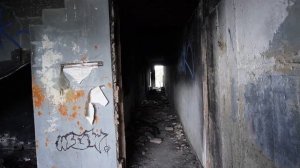 24 ЧАСА В ЗАБРОШЕННОМ ДОМЕ ЗООНОМАЛИИ С КОТОМ И СОБАКОЙ | МОНСТРЫ ПРЕСЛЕДУЮТ НАС