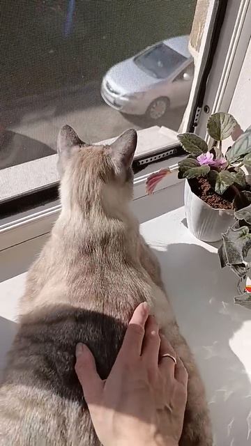 16 мая 2025 г. смотреть онлайн