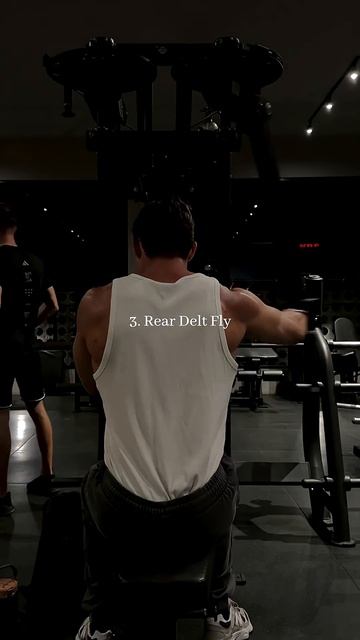 Shoulder & Tricep Workout 💪