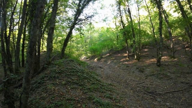 DJI_0072 смотреть онлайн