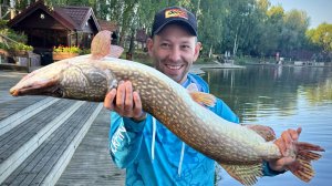 САМАЯ ДОРОГАЯ рыбалка в Подмосковье! GOLD SAZAN. Рейтинг рыболовных баз