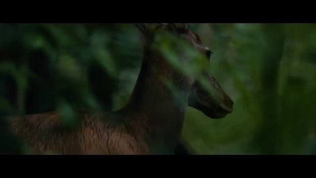 Дебютный трейлер фильма «28 лет спустя: Храм из костей» смотреть онлайн