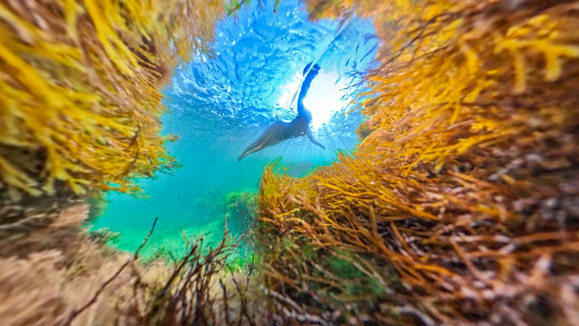 КРЫМ. Бесстыжий отдых. Пляжи бухты Ласпи: Батилиман, Таврида, Дикий. Где стать с палаткой? смотреть онлайн