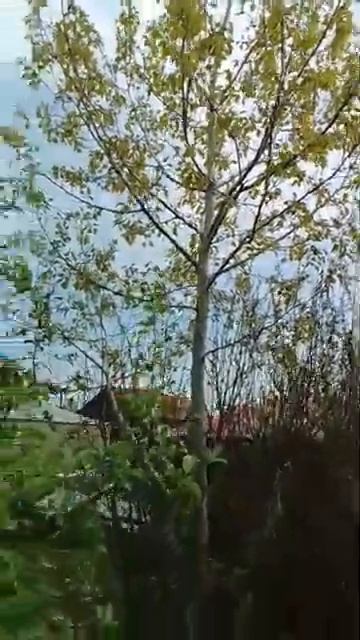 мама 2025год смотреть онлайн