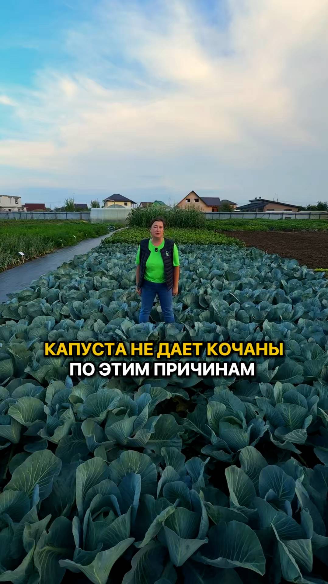 Капуста не даст кочаны по ЭТИМ причинам!