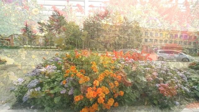 Осенние цветы смотреть онлайн