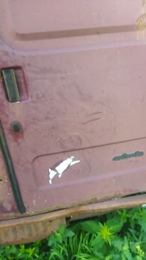 VID_20250716_073820.mp4