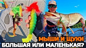 Какую МЫШЬ выберет щука? Экспериментальная рыбалка на Волге