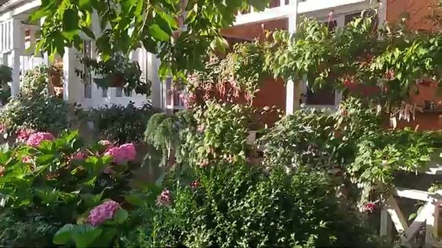 🌿🌿🌿🌱 смотреть онлайн