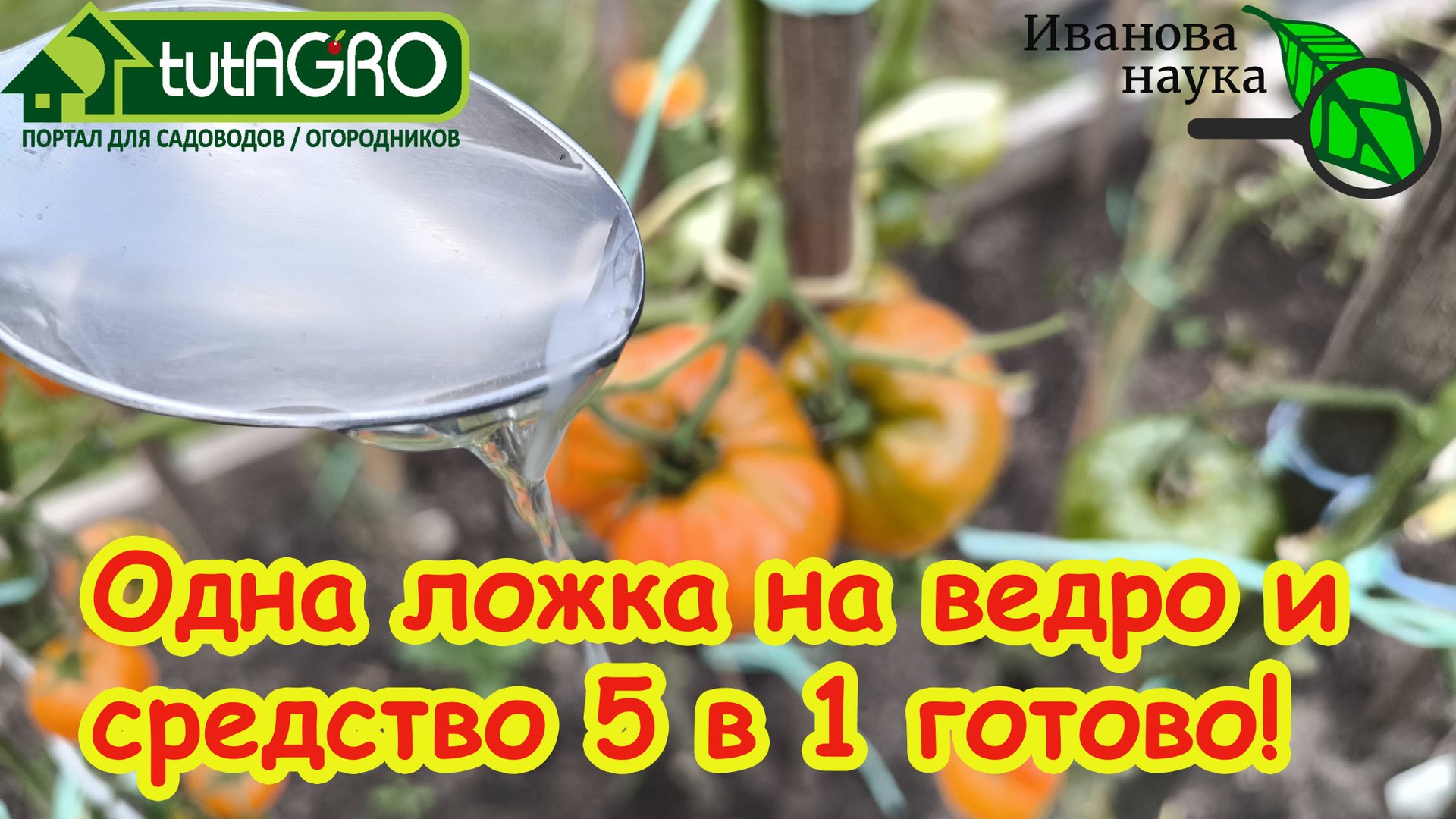 С ВЕСНЫ ДО ОСЕНИ УНИКАЛЬНОЕ СРЕДСТВО 5 в 1: эффективно даже против СЛИЗНЕЙ и есть в любом хозмаге. смотреть онлайн