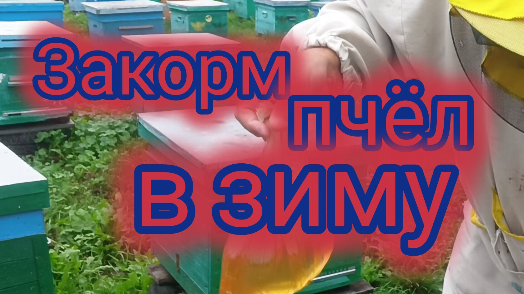 Закорм пчёл в зиму 🐝 смотреть онлайн