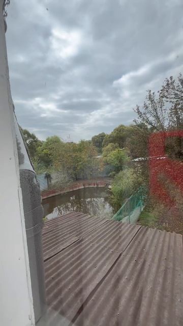 Copy_E777AB4A-43F3-4F7F-8EDE-C1BD8A2103BC