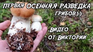 Первая ОСЕННЯЯ РАЗВЕДКА грибов)) Видео от Виктории 04.09.25
