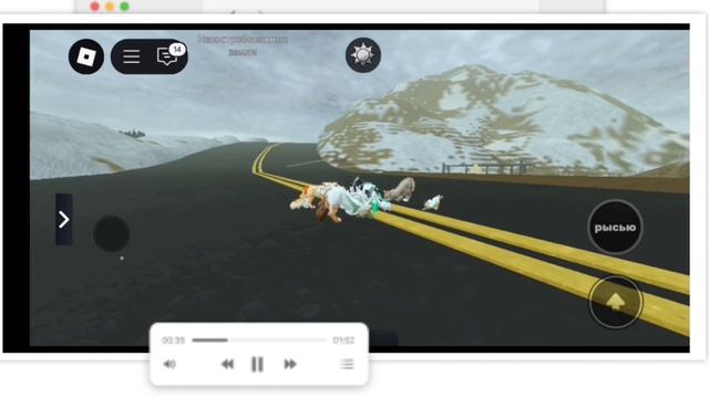 Прощайте котятки мои ! 🥺💔