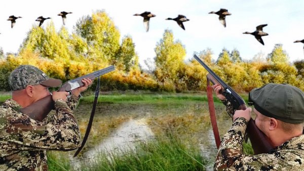 Охота на Утку с Чучелами на Интересном Болоте.