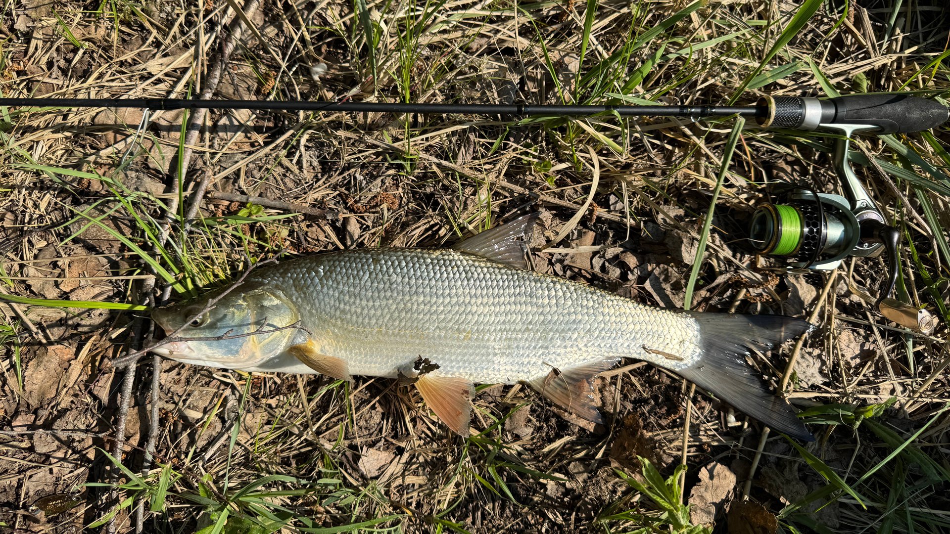 Рыбалка на ультралайт спиннинг с берега. Рыбалка на блесну с берега. Блесна.