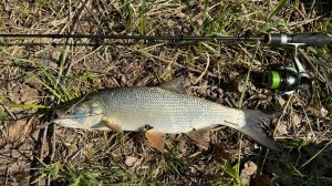 Рыбалка на ультралайт спиннинг с берега. Рыбалка на блесну с берега. Блесна.