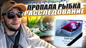 Драгоценные камни для аквариума / Каталог и некролог / KRUssia / Такси !