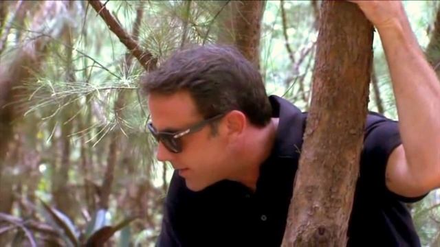 санта мартинес смотреть онлайн