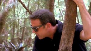 санта мартинес