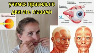 Работая с щеками и прямыми мышцами глаз, укрепляем стекловидное тело, улучшаем зрение. Упражнения