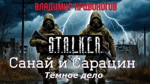 САНАЙ И САРАЦИН. Тёмное дело» | Владимир Кривоногов | Аудиокнига | S.T.A.L.K.E.R. | ФАНТАСТИКА