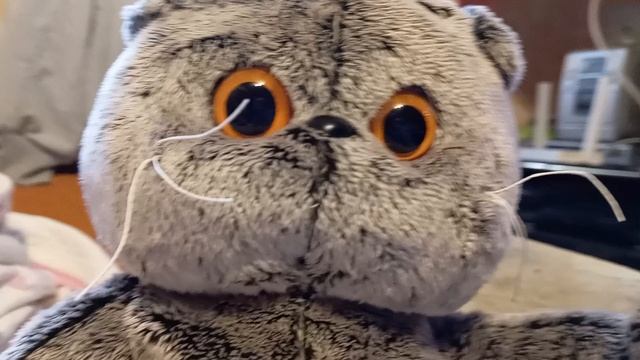 Разговорное видео от басика!?) смотреть онлайн