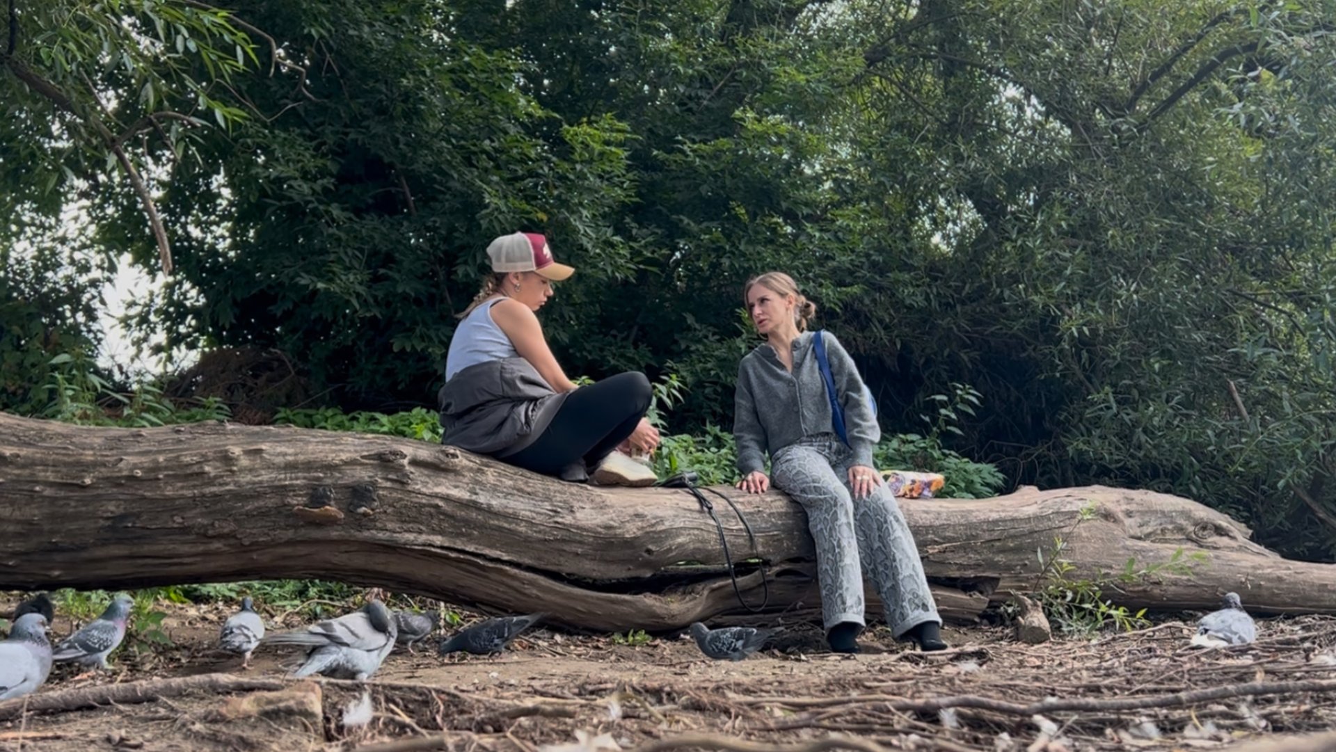 Ценность дружбы