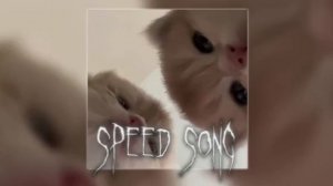 плейлист классных песен ( speed up // )